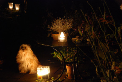 Bei-Kerzenschein-3.jpg