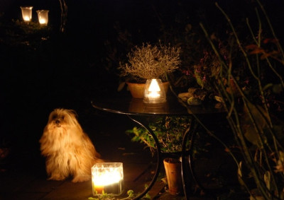 Bei-Kerzenschein-schnitt.jpg