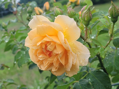 20230630_100425.jpg