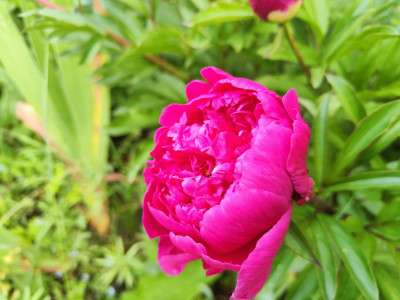 IMG_20250608_174039.jpg