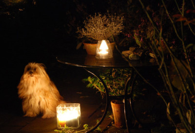 Bei-Kerzenschein-3_z.jpg