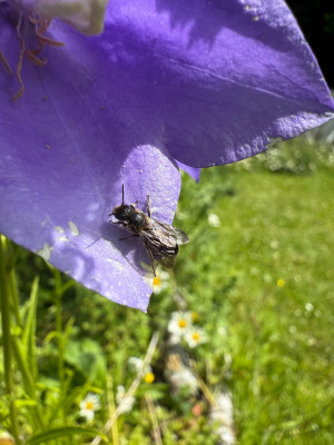 IMG_7869.jpeg