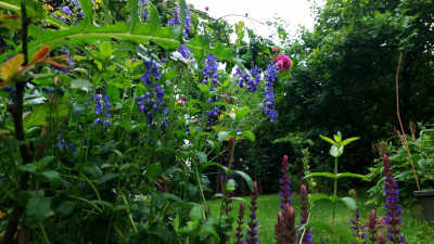 20250607_100207.jpg