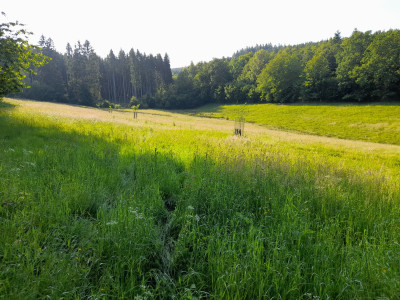 20250614_180804.jpg