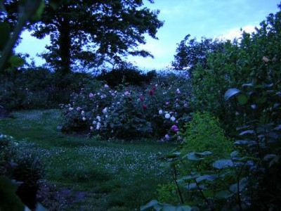 Abendwestseite1aa.JPG
