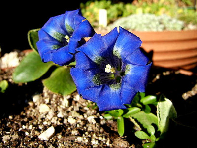 DSCF5970.JPG