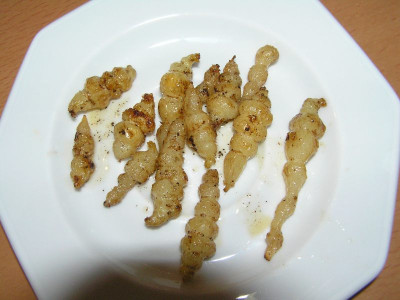essenstachys.jpg
