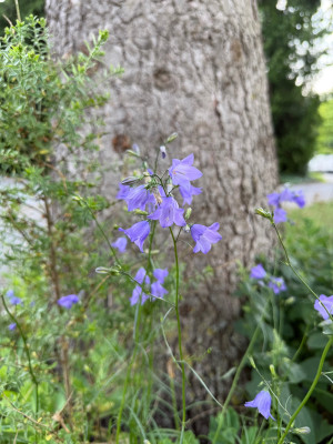 IMG_9113.jpeg