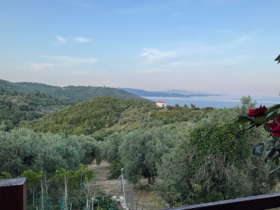 IMG_2406.jpeg