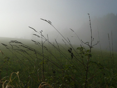 trachau_001.jpg