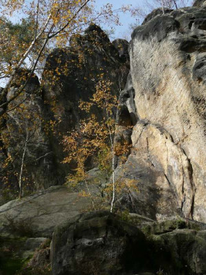 rauenstein1.jpg
