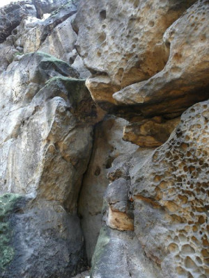 felsen.jpg