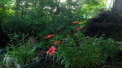 20250617_211157.jpg
