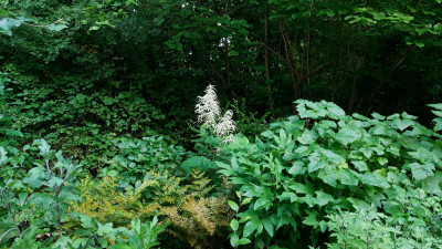 20250617_210642.jpg