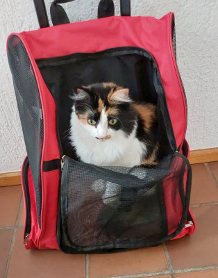 Transporttraining