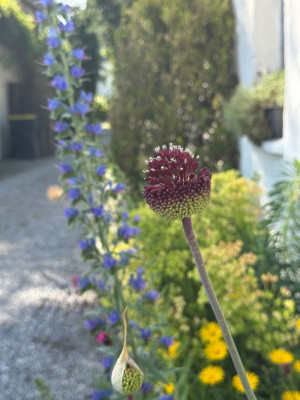 IMG_0044.jpeg