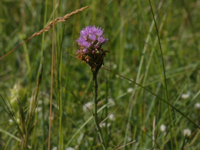 P1050047.JPG
