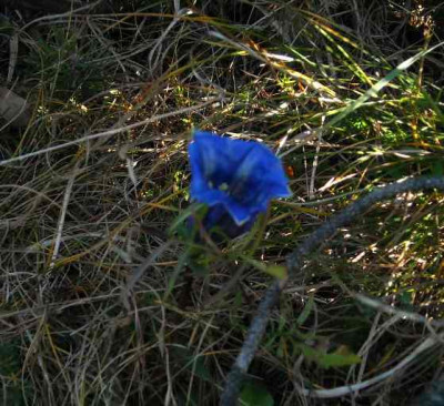 DSCN0316.jpg