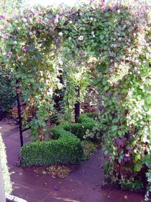 Rosen_Ranken_2004_4.jpg