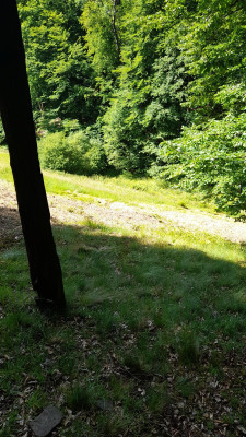 IMG-20250621-WA0009.jpeg