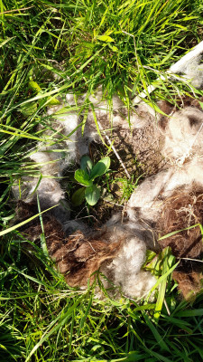 IMG-20250621-WA0006.jpeg