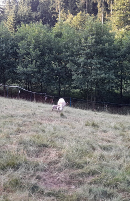 IMG-20250622-WA0000.jpeg