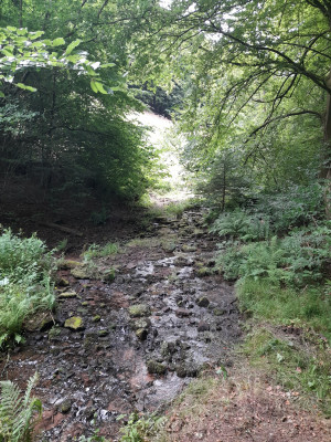 20250623_074922.jpg