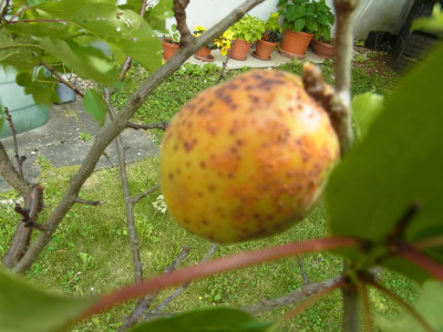 RIMG0034.jpg