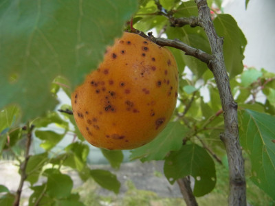 RIMG0035.jpg