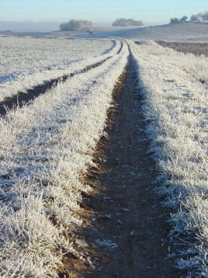 20-12-04_Frostiger_Weg.jpg