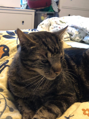 IMG_0350.jpeg