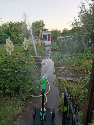 Regner Anstieg 35Grad.jpeg
