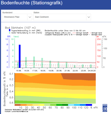 Screenshot 2025-06-25 184445.png