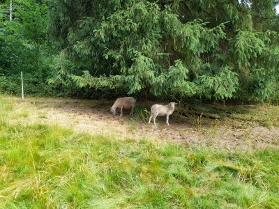 20250626_095641.jpg