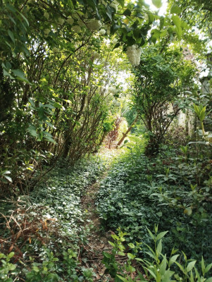 Gartenpfad.jpg