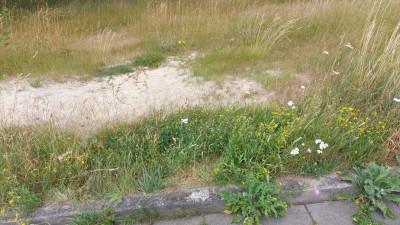 20250627_112731.jpeg