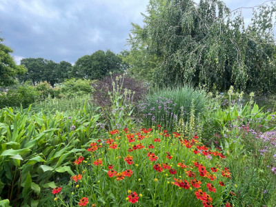 Garten Juni 2025.jpg