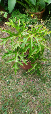 20250626_104140.jpg