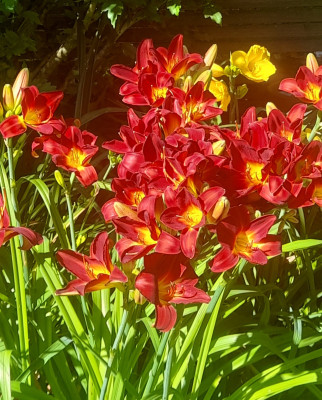 20250629_101747.jpg
