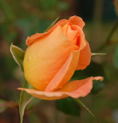 Westfalenpark_0010___1222.jpg