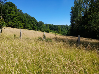 20250629_102346.jpg