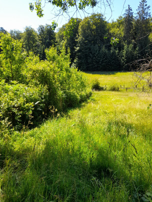 20250630_113832.jpg