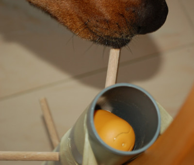 Staebe_ziehen_0011__1327.jpg