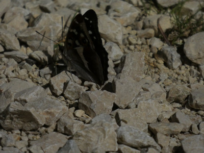 P1050158.JPG