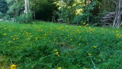 20250701_202032.jpg