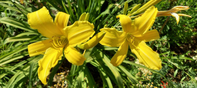20250702_102230.jpg