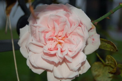 Probuzeni_0347.jpg