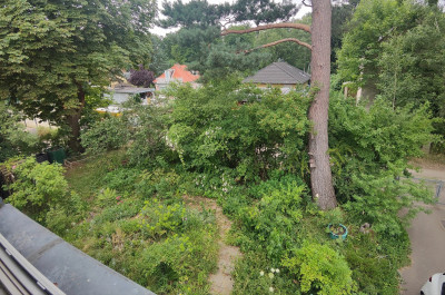 IMG_20250703_111334.jpg
