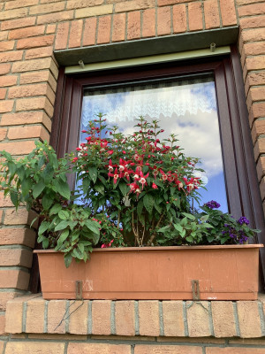 IMG_0613.jpeg