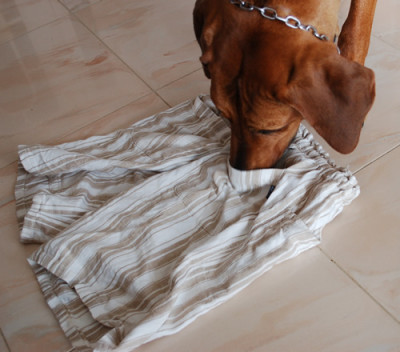 Alte_Hosen_als_Futtersack__0010__1314.jpg